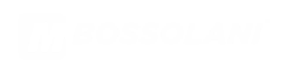 bossolani-logo-responsivo